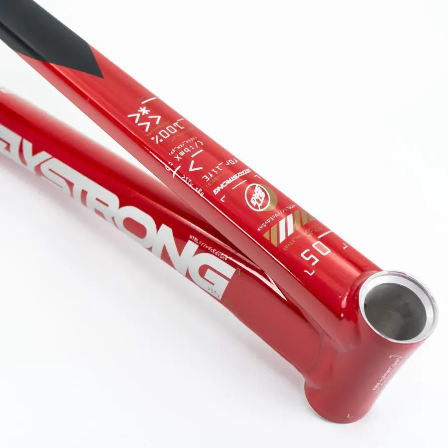 Stay Strong V5 Disc Only Frame 2025 Red/Black